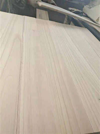 لوح النعش الخشبي من بولونيا
